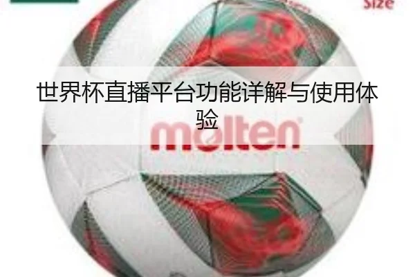 世界杯直播平台功能详解与使用体验