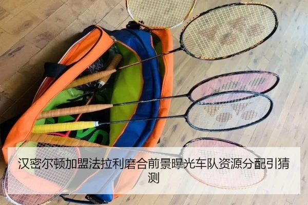 汉密尔顿加盟法拉利磨合前景曝光车队资源分配引猜测