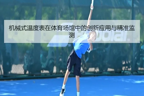 机械式温度表在体育场馆中的创新应用与精准监测