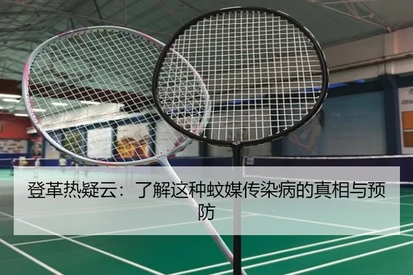 登革热疑云：了解这种蚊媒传染病的真相与预防