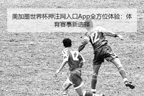 美加墨世界杯押注网入口App全方位体验：体育赛事新选择